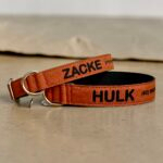 Coleira Personalizada para Cachorro com Nome e Telefone – Cor Terracota - Imagem 4