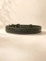 Coleira pet personalizada em couro Classic Urban green - Imagem 5