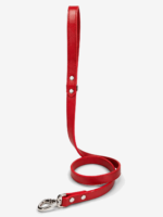 Guia de couro para cachorro