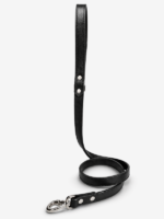 Guia de couro para cachorro