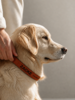 Coleira Personalizada para Cachorro com Nome e Telefone – Cor Terracota - Imagem 2