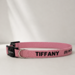 Coleira para Gato Personalizada com Nome e Telefone | Fecho Breakaway Anti-Enforcamento | LightPink