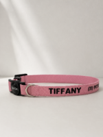Coleira para Gato Personalizada com Nome e Telefone | Fecho Breakaway Anti-Enforcamento | LightPink
