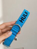 Coleiras personalizadas com nome e telefone- Coleira pet personalizada- Coleira com telefone