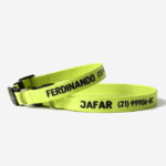 Coleira gato com nome e telefone verde claro