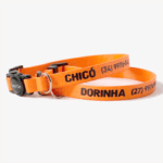 Coleira gato com nome e telefone laranja