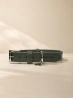 Coleira pet personalizada em couro Classic Urban green - Imagem 2