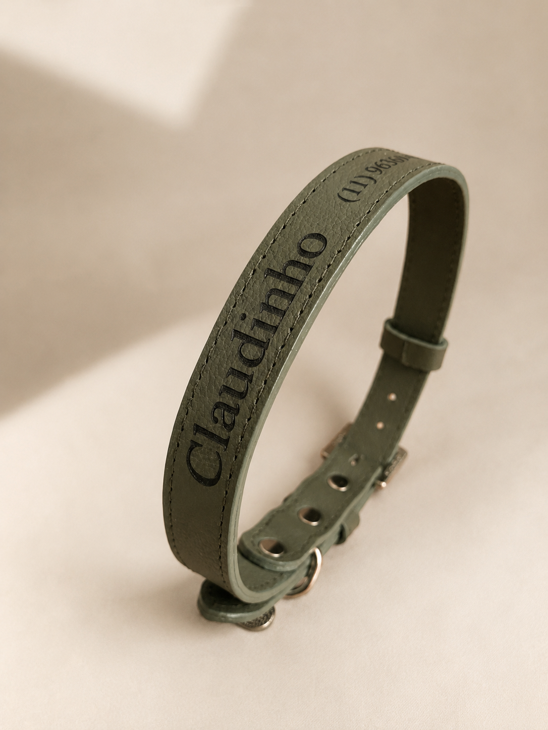 CC1AFC30-6716-4F15-9DAF-C7F22A5C9F94 Coleira pet personalizada em couro Classic Urban green - Imagem 1
