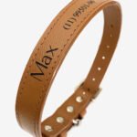 Coleira pet personalizada em couro Classic Coffee