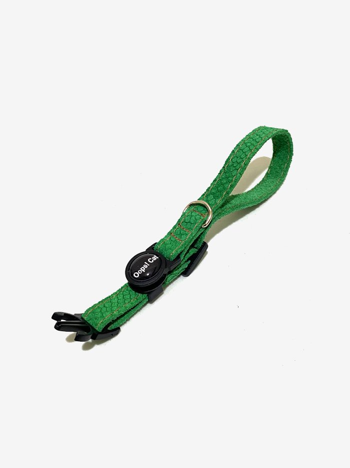 Coleira Para Gato Com Fecho Segurança - Cor Turquesa