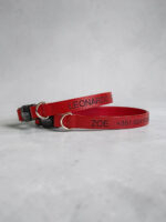Coleira anti enforcamento para gatos couro personalizada Red