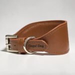 Coleira galgo couro Coffee
