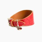 Coleira galgos Oops! dog