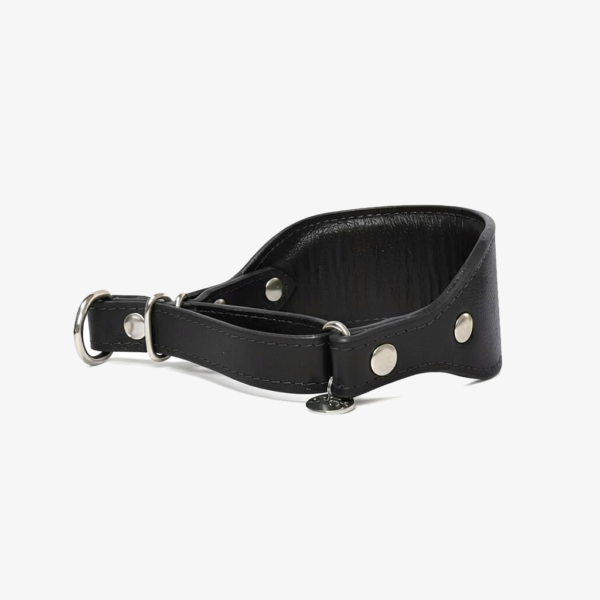 Coleira martingale Oops Dog 12