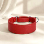 Coleira de couro Martingale | Oops! Dog