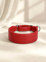 Coleira de couro Martingale | Oops! Dog