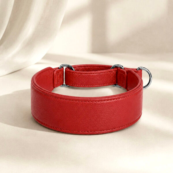 Coleira de couro Martingale | Oops! Dog