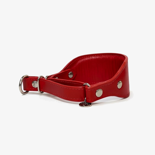 Coleira martingale Oops dog 8
