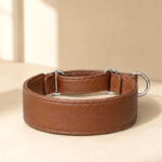 Coleira de couro Martingale | Oops! Dog