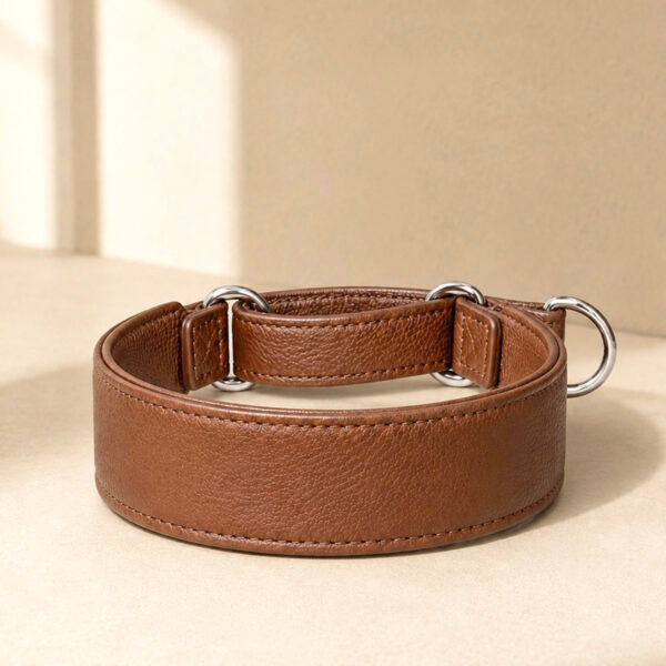 Coleira de couro Martingale | Oops! Dog
