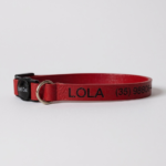 Coleira anti enforcamento para gatos couro personalizada Red