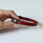 Coleira gato identificação