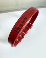 Coleira pet personalizada em couro