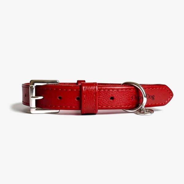 Coleiras de couro oops dog 3