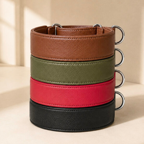 Coleiras martingale Oops dog
