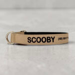 Coleiras personalizadas com nome e telefone- Coleira pet personalizada- Coleira com telefone