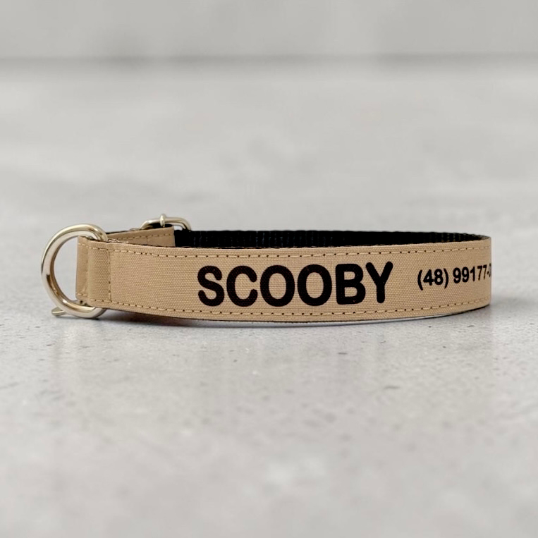 Coleiras personalizadas com nome e telefone- Coleira pet personalizada- Coleira com telefone 5 Coleiras personalizadas com nome e telefone- Coleira pet personalizada- Coleira com telefone