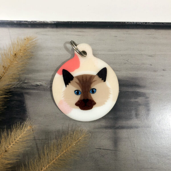 Plaquinha de identificação para gatos