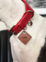 Tag de Identificação Pet em Couro Legítimo Personalizada | Oops Dog
