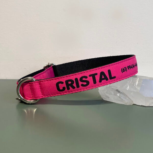 Coleira para cachorro com nome Pink