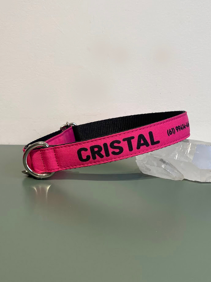 Coleira para cachorro com nome Pink Coleira para cachorro com nome Pink