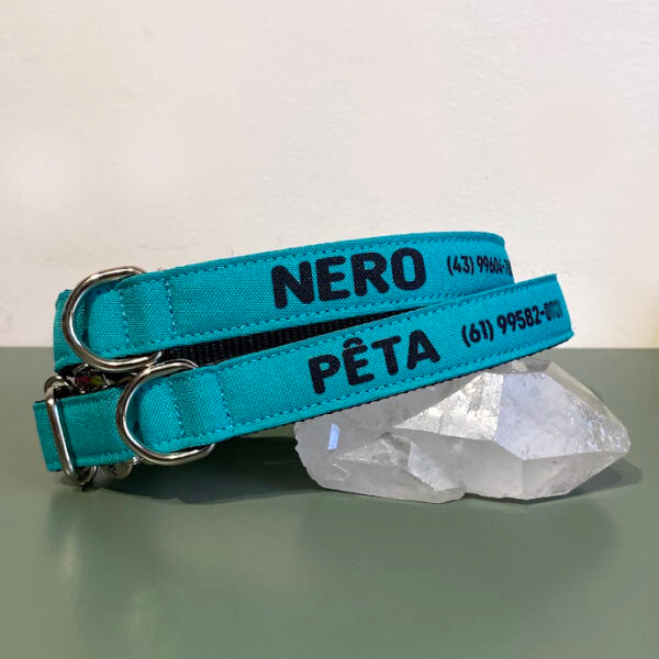 Coleira para cachorro com nome turquesa