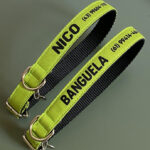 Coleira para cachorro com nome verde pistache