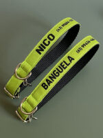 Coleira para cachorro com nome verde pistache