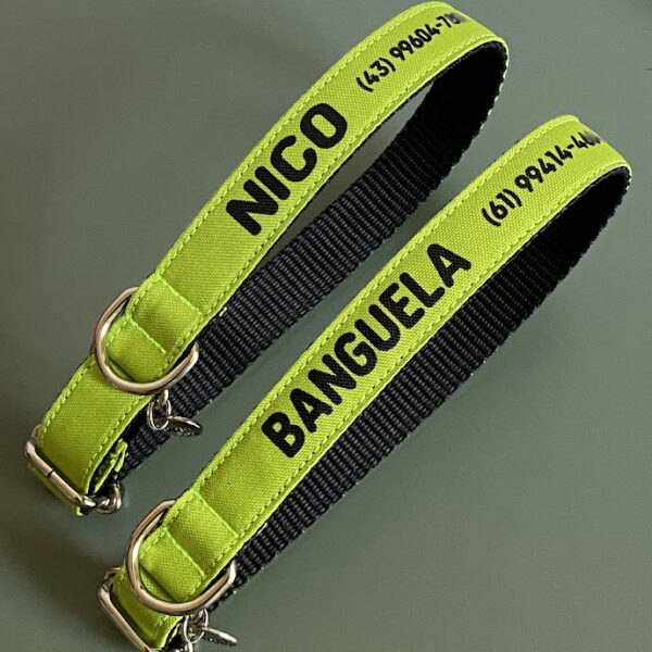 Coleira para cachorro com nome verde pistache