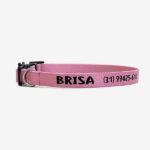 Coleira para gato nome personalizado Clean rosa