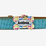 Plaquinha identificação pet