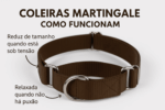 Coleira martingale personalizada bege - Imagem 2