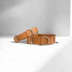 Coleira Martingale Clássica Couro