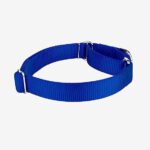 Coleira Martingale Blue Oops! Dog - Imagem 5