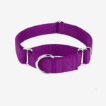 Coleira Martingale Purple Oops! Dog
