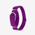 Coleira Martingale Purple Oops! Dog - Imagem 3