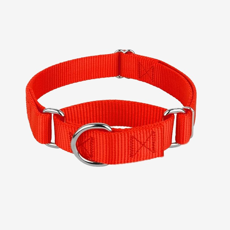 MARTINGALE OOPS DOG VERMELHA Coleira Martingale Red Oops! Dog - Imagem 1