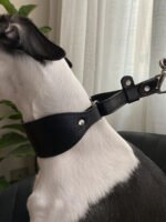 Coleira Martingale Slip Couro Oops.Dog - Imagem 4