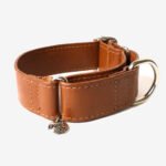 Coleira Martingale Clássica Couro - Imagem 3