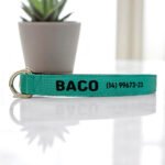 Coleira para cachorro com nome turquesa